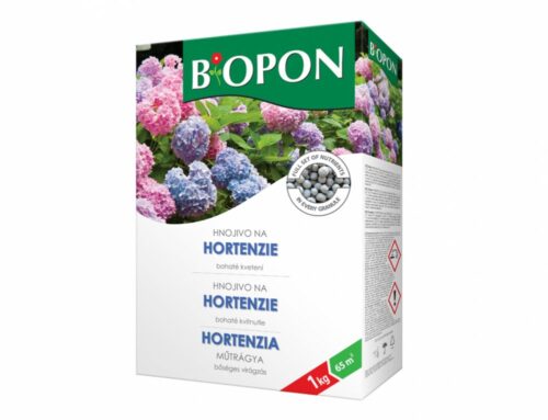 bopon hortenzie