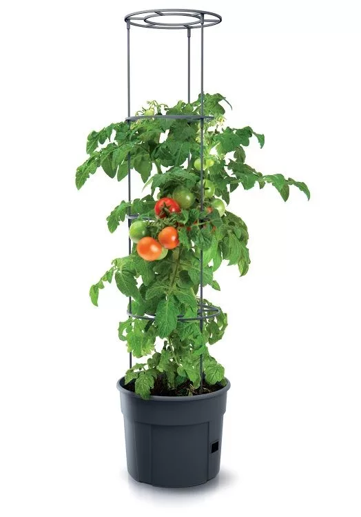 Kvetináč na paradajky TOMATO GROWER antracit 29.5cm (max. 115,2cm)
